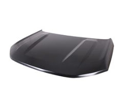 FORD BRONCO_SPORT 2021-2025 — HOOD; ALUMINUM; 2021-2025 (M1PZ-16612-B)