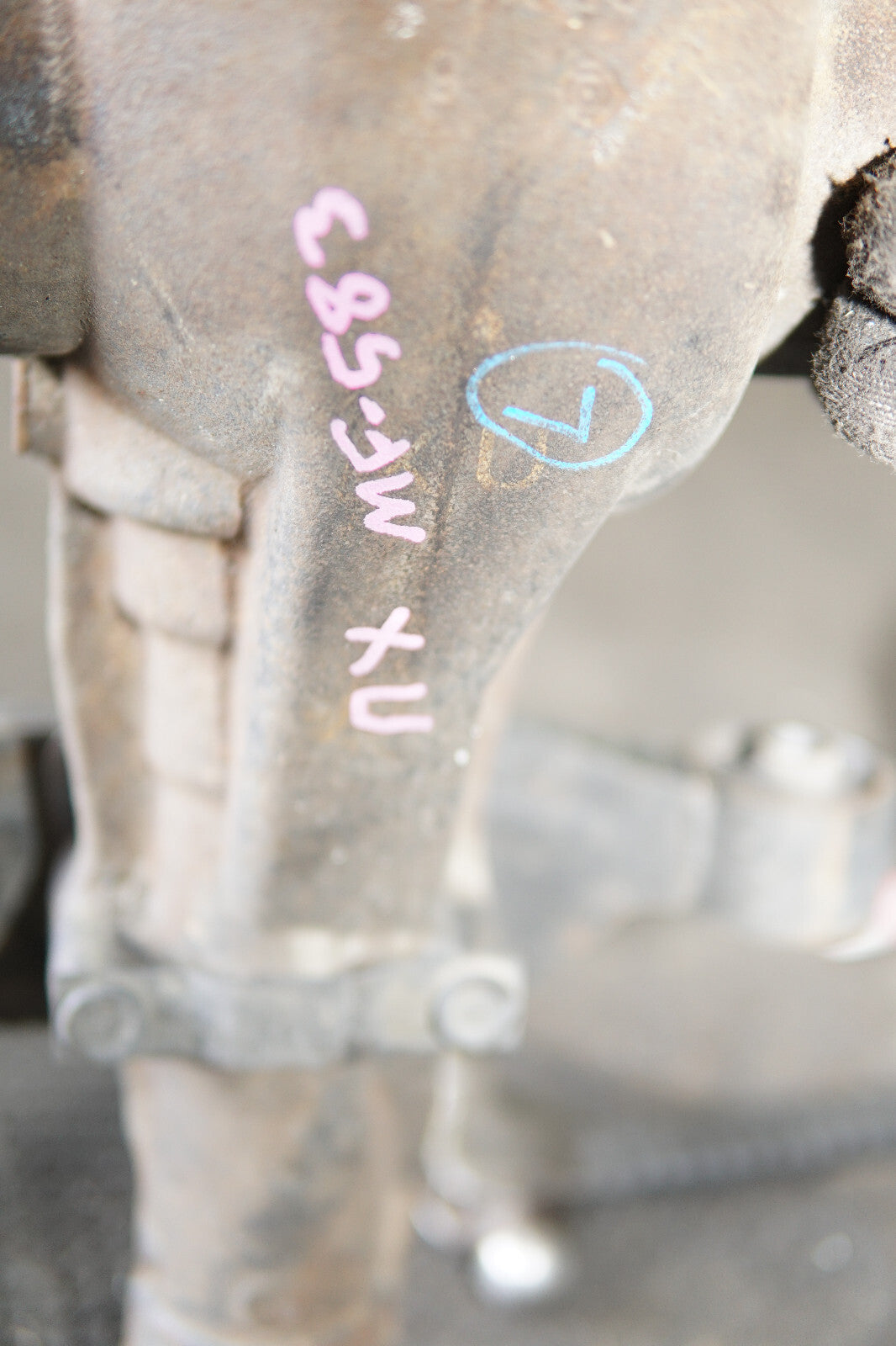 JDM Subaru Legacy Outback R160 3.27 Ratio LSD Rear Differential BP5 Viscous LSD