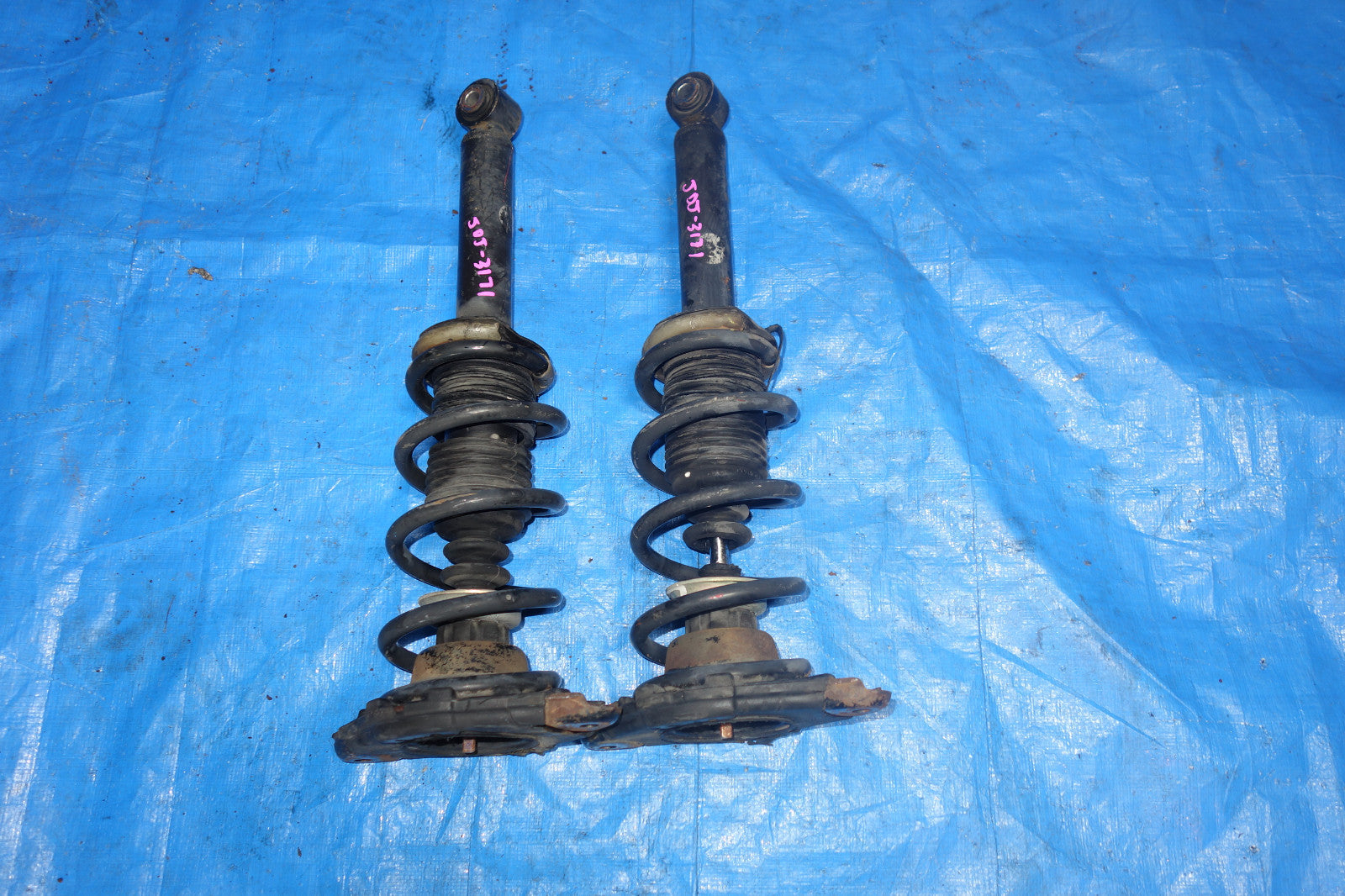 JDM Nissan Primera P12 OEM Rear Shocks Struts Springs Suspension Pair